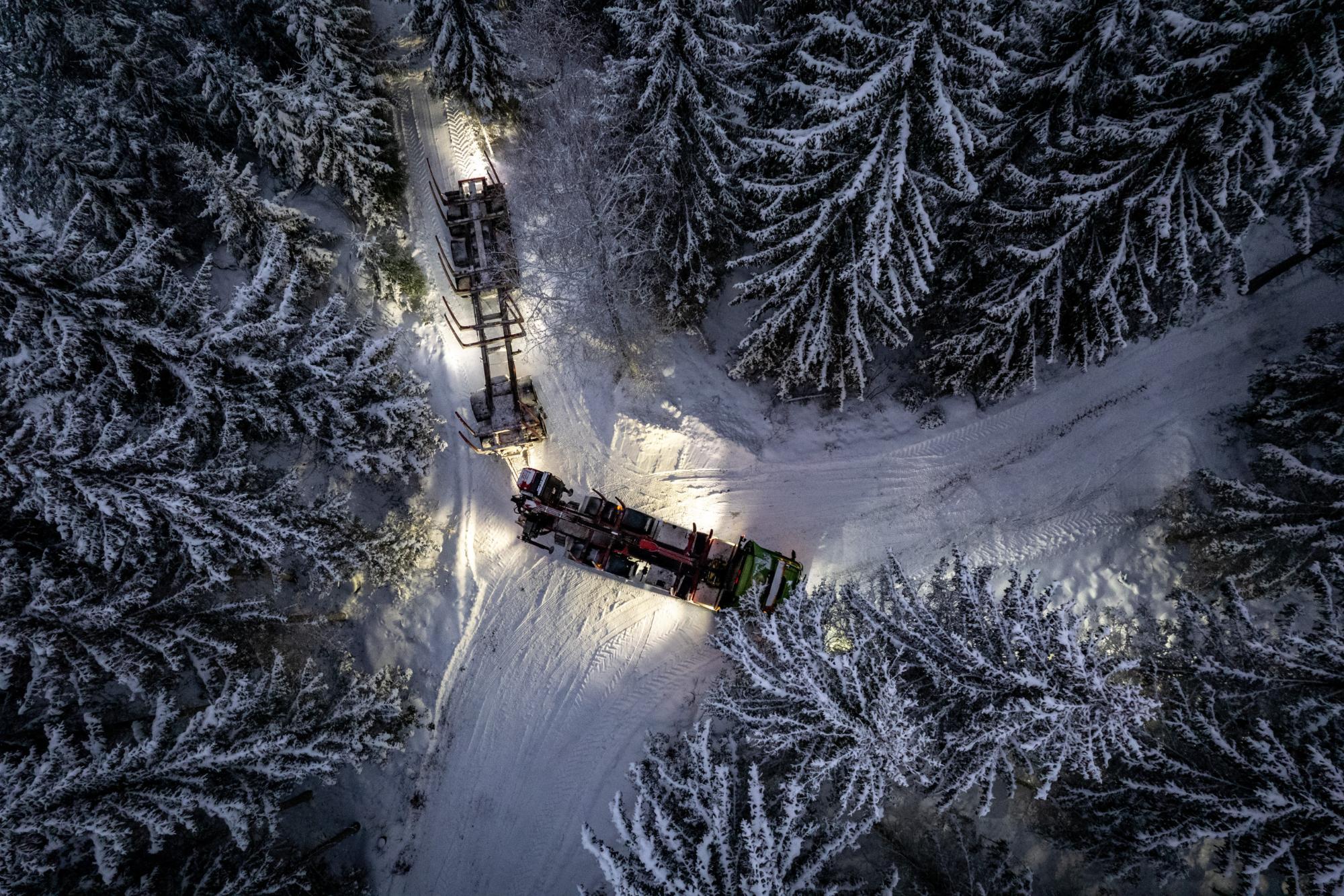 Illustrative Image. Image: Metsäalan Kuljetusyrittäjät ry